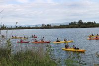 Kayak al Delta de l'Ebre