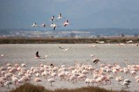 Llaguna de la Tancada